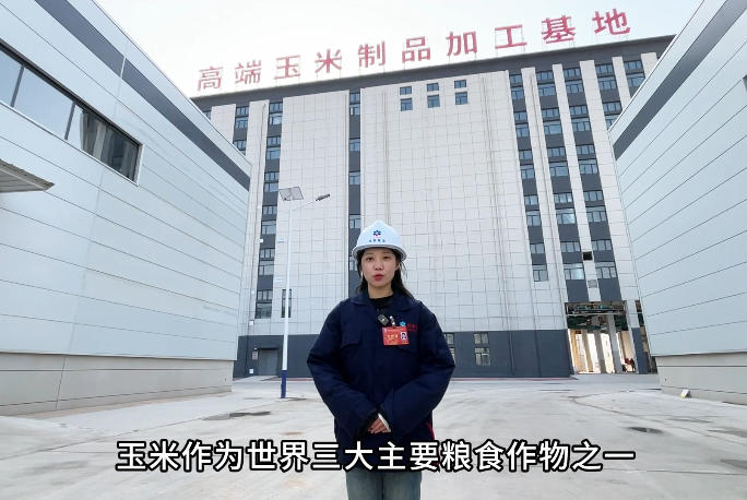 探访开云体育新年首献！50T/D玉米胚芽油车间，解锁“黄金作物”的健康密码