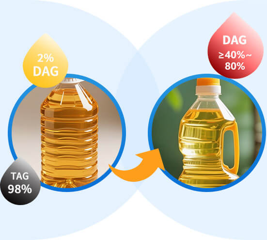 Differences between traditional edible oil and diacylglycerol edible oil