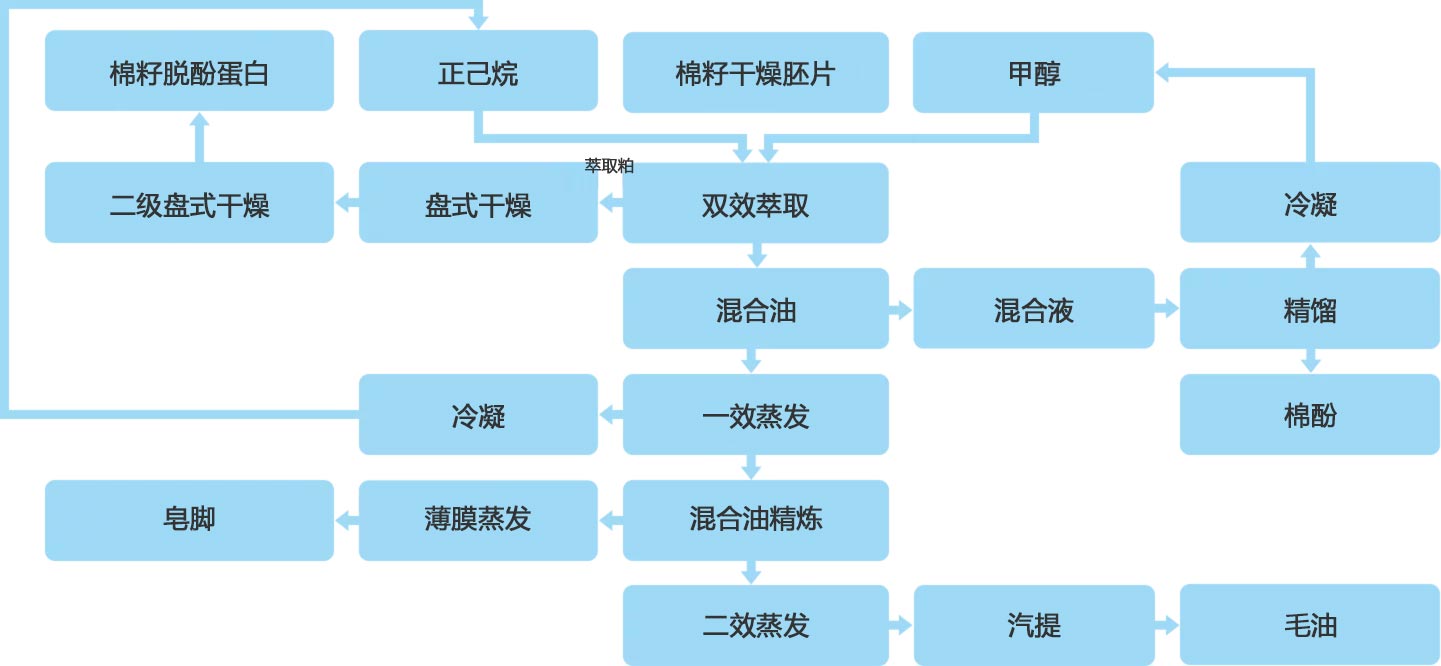 棉籽脱酚蛋白工程流程